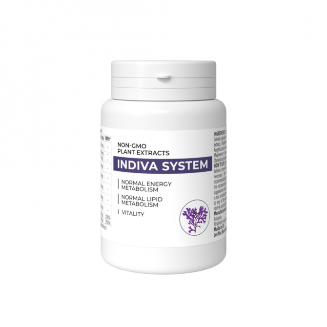 Indiva System