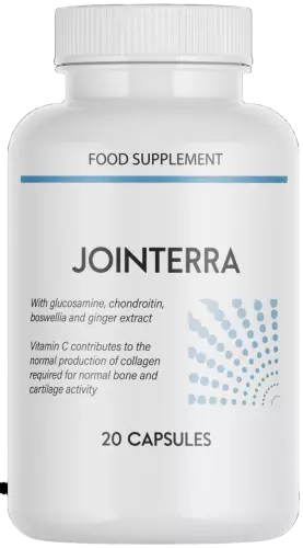 Jointerra